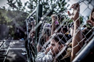 Ausgegrenzt und Menschenrechtsverletzungen ausgesetzt: Migrant:innen an der EU-Außengrenze. (Foto: Sandor Csudai, flickr, CC-BY SA 2.0) 