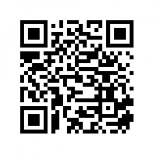 QR Code Erfurt 2026 bns